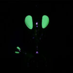 Hemper Alien Glass Water Pipe | 14mm F - Headshop.com
