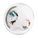 Empire Glassworks 'Under the Sea Baby Beaker' top view, showcasing intricate marine life designs
