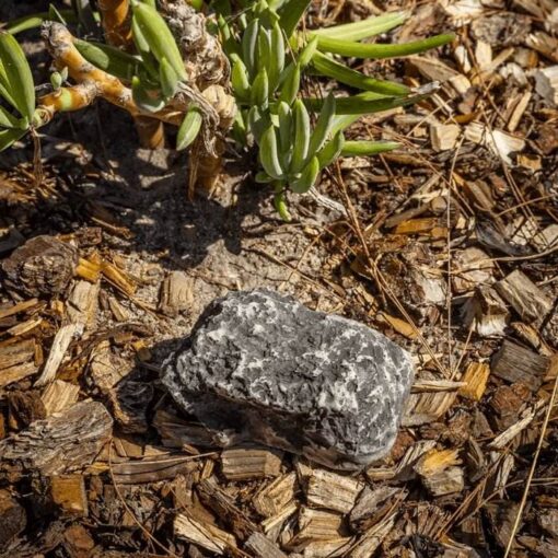 Garden Rock Safe Storage
