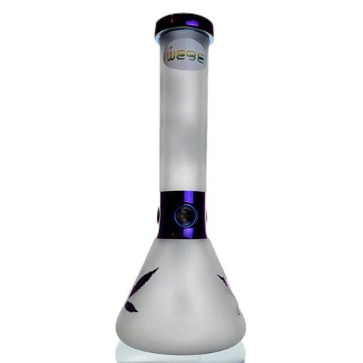 WEGE Rick And Morty Ice Catcher Beaker Glass Bong 32cm Purple