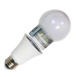 Sight Secret Light Bulb Diversion Safe
