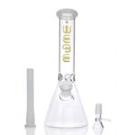 WEGE Ice Catcher Beaker Glass Bong 25cm
