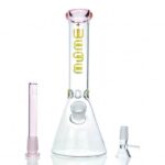 WEGE Ice Catcher Beaker Glass Bong 25cm
